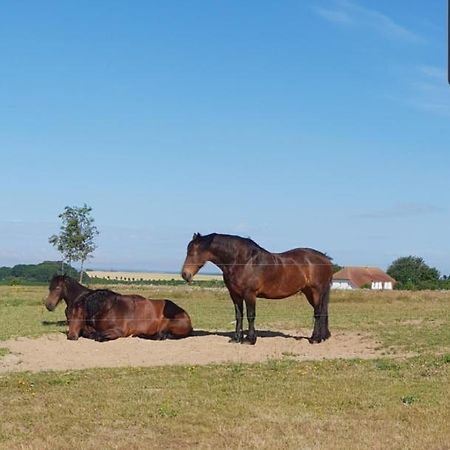 Ferienapartment Wiese & Meer Auf Ruegen Neddesitz Kültér fotó