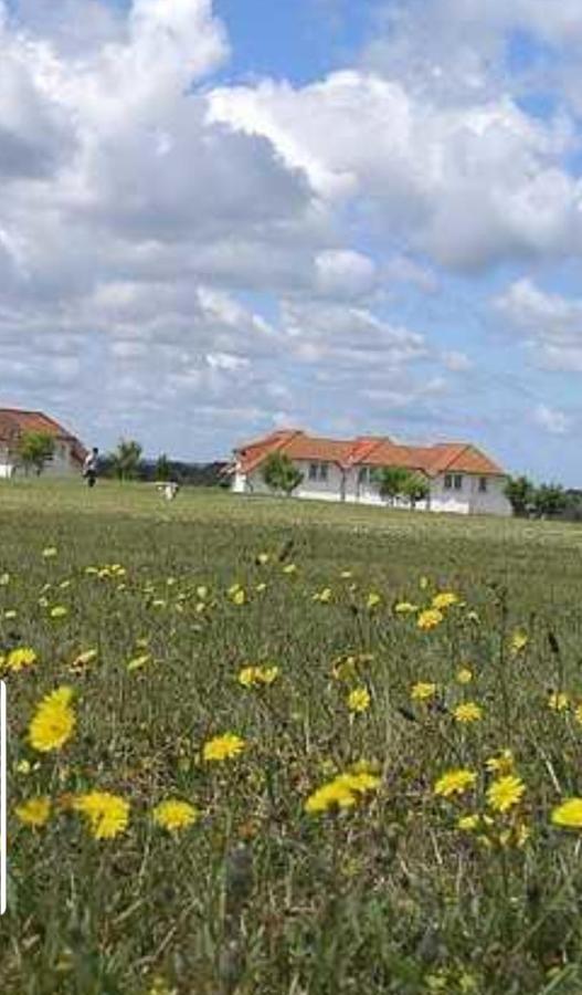 Ferienapartment Wiese & Meer Auf Ruegen Neddesitz Kültér fotó