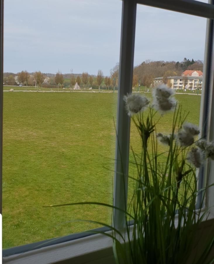 Ferienapartment Wiese & Meer Auf Ruegen Neddesitz Kültér fotó