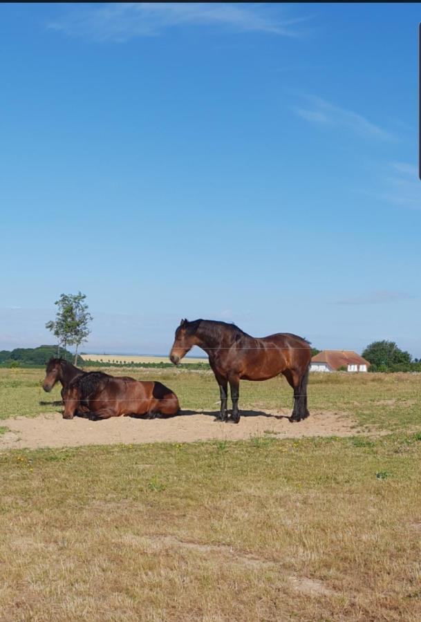 Ferienapartment Wiese & Meer Auf Ruegen Neddesitz Kültér fotó